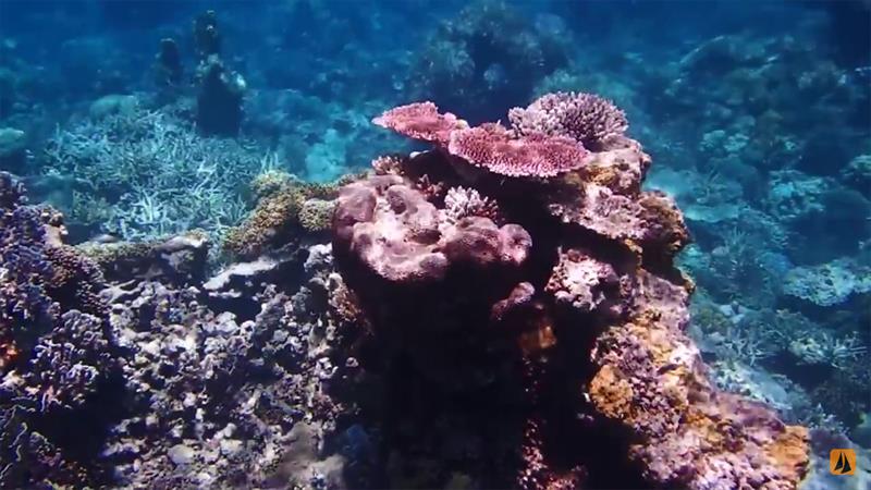 Rocks, reefs and coral bommies  photo copyright Sailing Follow The Boat taken at  and featuring the Cruising Yacht class