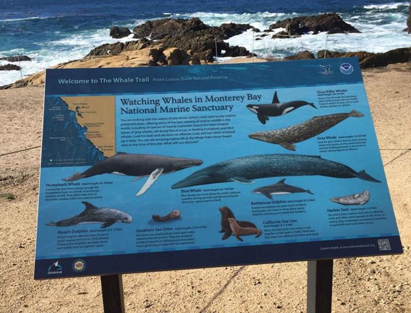 An interpretive sign installed by The Whale Trail at Point Lobos State Reserve in California, recognizing that the area is in the range of Southern Resident Killer Whales photo copyright The Whale Trail taken at  and featuring the Cruising Yacht class