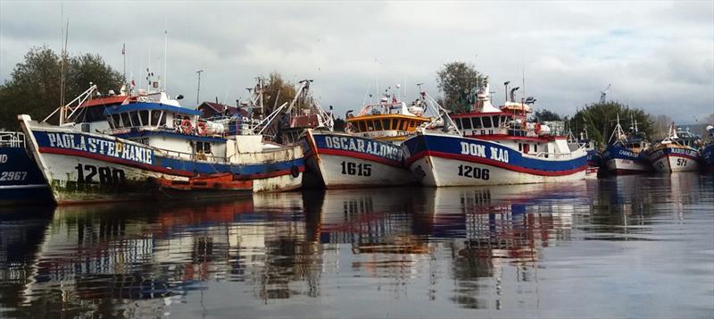 Valdivia Fish boats photo copyright Laurence Roberts and Mary Anne Unrau taken at  and featuring the Cruising Yacht class