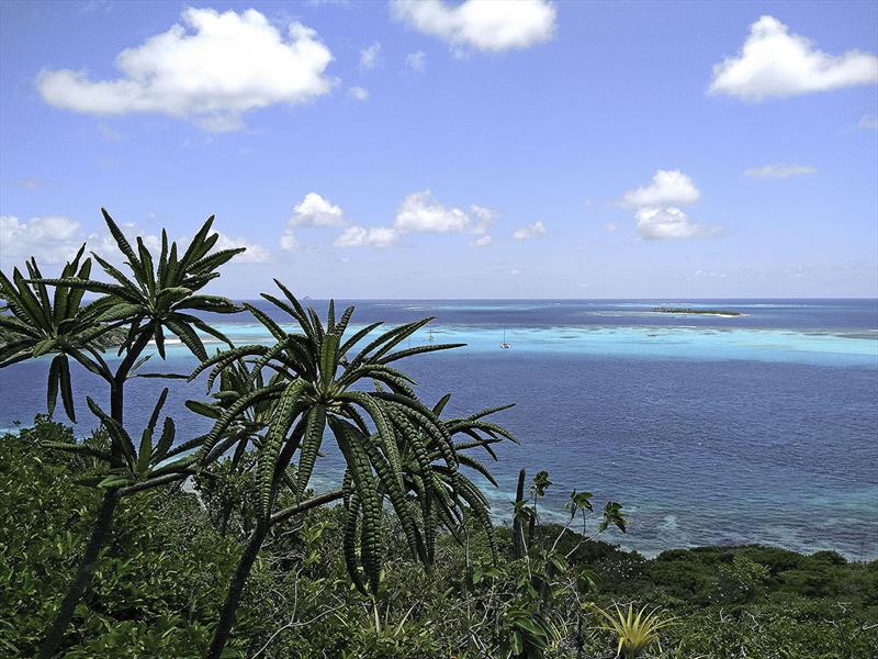 Contigo almost alone photo copyright Mission Ocean taken at  and featuring the Cruising Yacht class