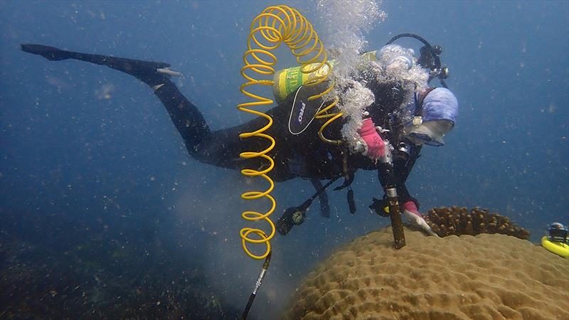 Hannah Barkley extracts a core from a massive Porites colony. The core contains clues about the recovery of the reef after the bleaching event photo copyright Noah Pomeroy, NOAA Fisheries taken at  and featuring the Cruising Yacht class