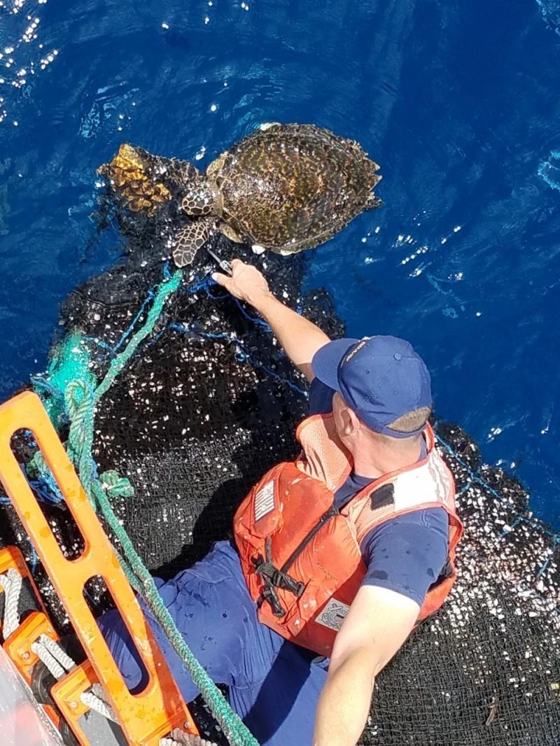 A crew member from Coast Guard Cutter Spencer rescued two sea turtles from entangled fishing gear Monday, Sept. 30, 2018, in the Eastern Pacific Ocean during their 80-day patrol. One of the sea turtles rescued was an endangered Hawksbill sea turtle photo copyright U.S. Coast Guard taken at  and featuring the Cruising Yacht class