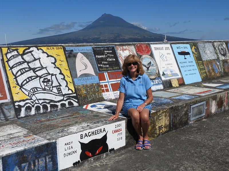 Liza and Bagheera graffiti photo copyright Bluewater Cruising Association taken at  and featuring the Cruising Yacht class