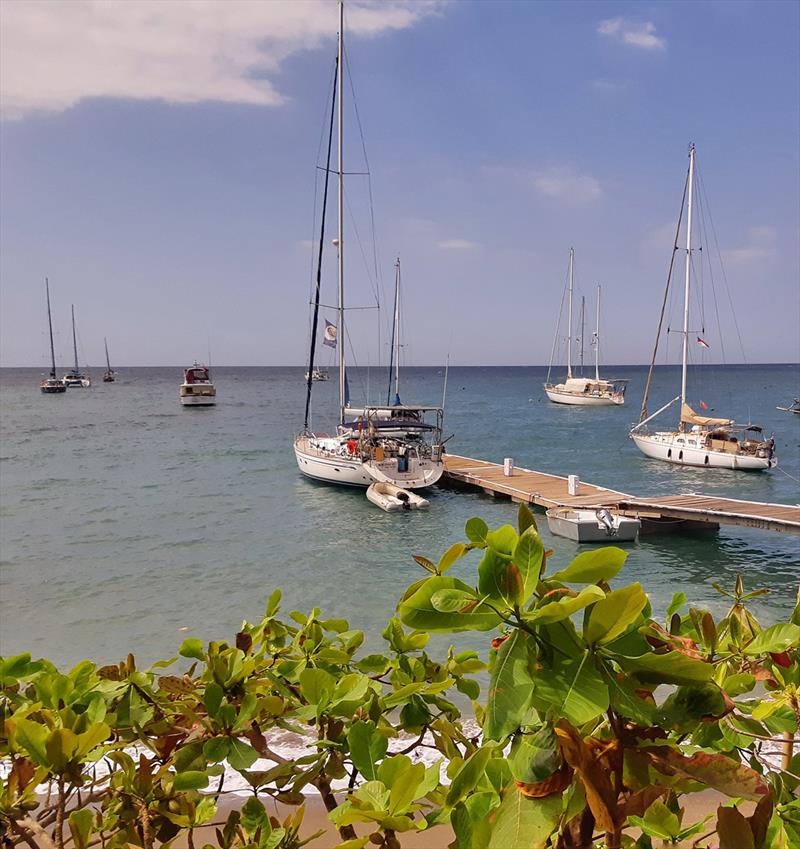 World ARC 2019-20 in Lombok photo copyright World Cruising taken at  and featuring the Cruising Yacht class