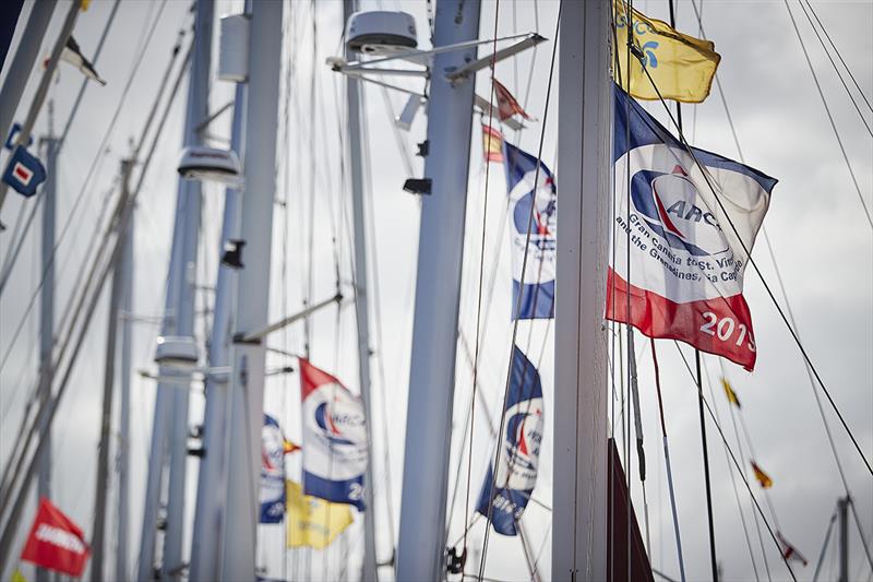 ARC  Rally flags flying before the start.  - photo © World Cruising Club / James Mitchell