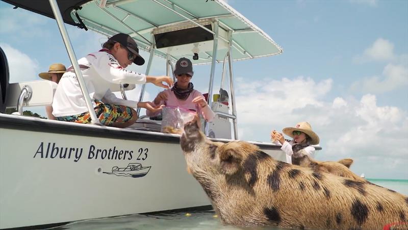 Team Shurhold at `Pig Beach` on Big Major Island in the Bahams photo copyright Shurhold taken at  and featuring the Cruising Yacht class