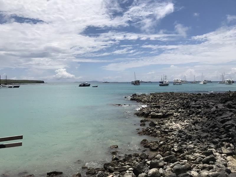 2021-22 World ARC - photo © World Cruising Club