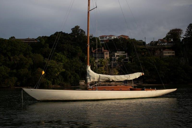Plym Sydney Harbour 2017 - photo © Southern Woodenboat Sailing
