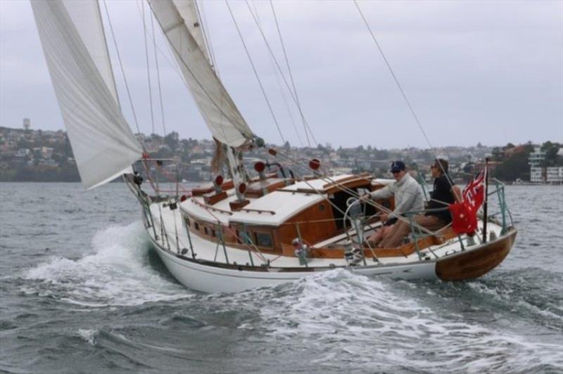 Cheoy Lee Robb 35 Marco Polo on Sydney Harbour photo copyright Southern Woodenboat Sailing taken at  and featuring the Cruising Yacht class