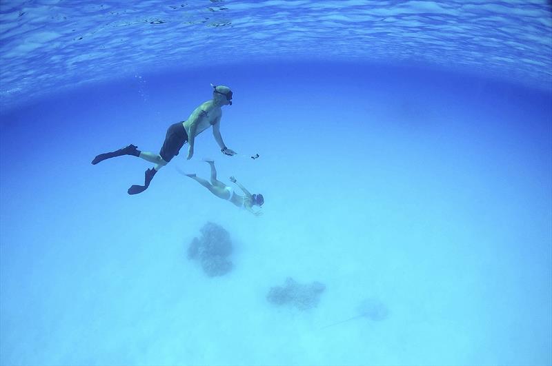 Swimming with a ray photo copyright Nautilus Sailing taken at  and featuring the Cruising Yacht class