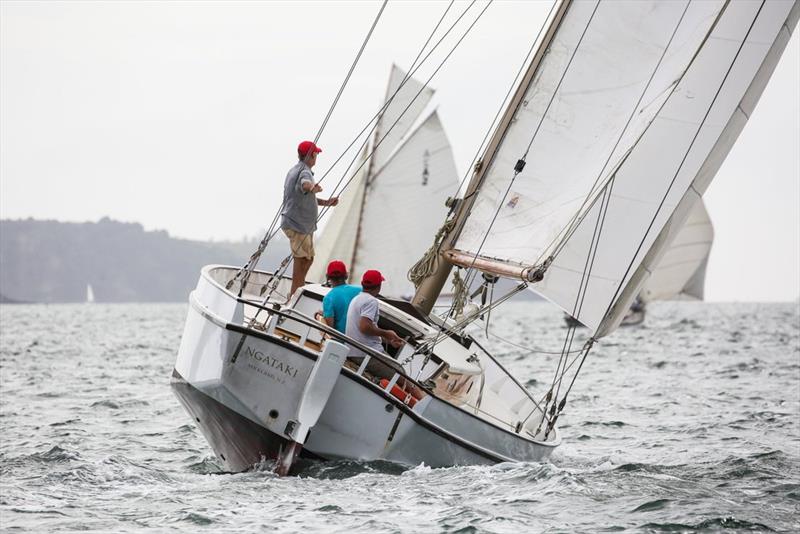 Johnny Wray's  Ngataki photo copyright Southern Woodenboat Sailing taken at  and featuring the Cruising Yacht class
