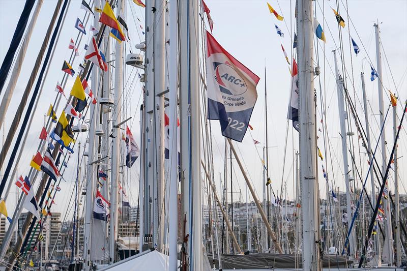 ARC+ update: Alika (GBR) Oyster 675