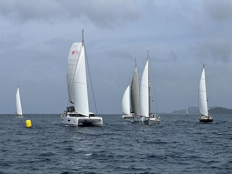 2023-24 World ARC photo copyright World Cruising Club taken at  and featuring the Cruising Yacht class