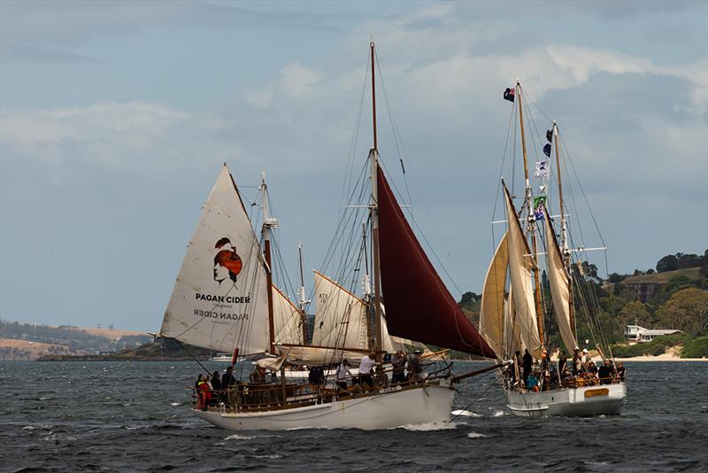 Australian Wooden Boat Festival 2023 photo copyright Francois Fourie taken at  and featuring the Cruising Yacht class