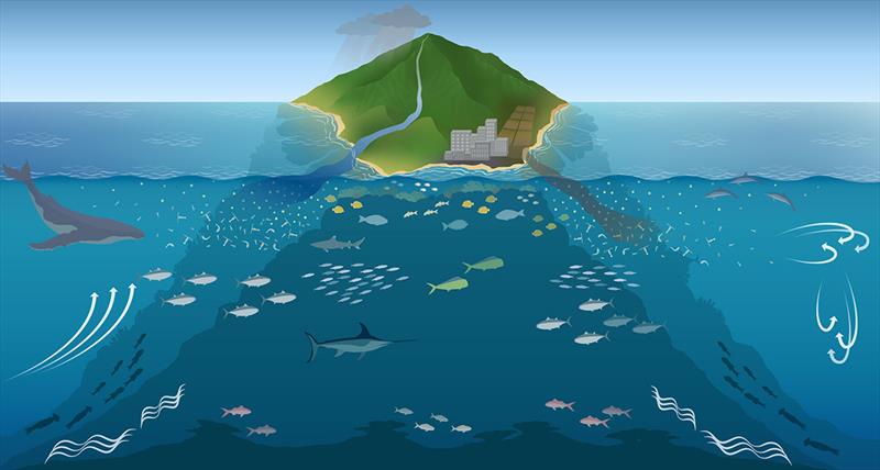 This illustration highlights the importance of phytoplankton near tropical islands to overall ecosystem health photo copyright NOAA Fisheries taken at  and featuring the Cruising Yacht class