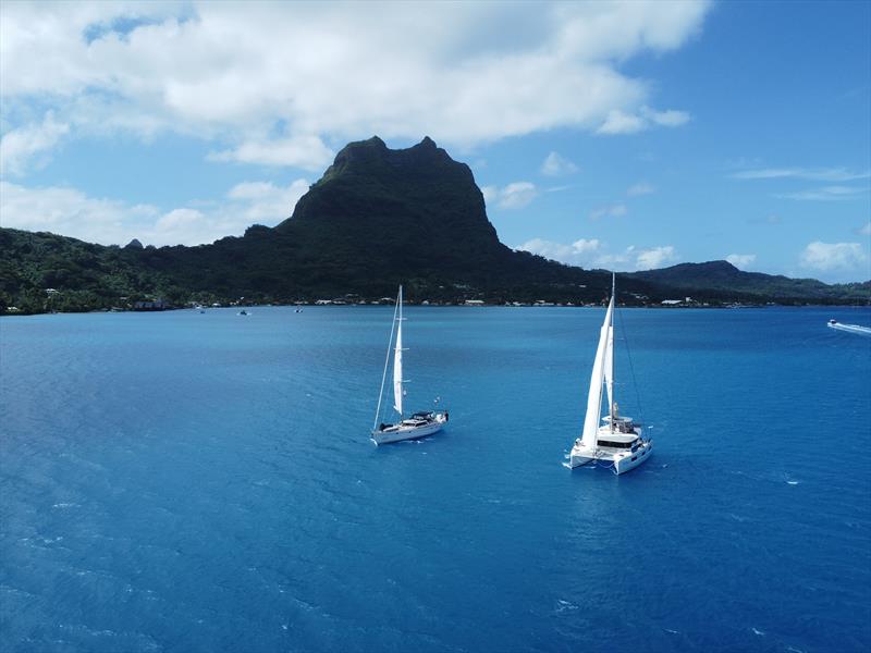 World ARC 2024-25 - photo © World Cruising Club