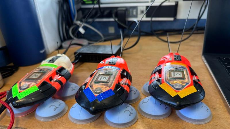 These miniature sound and movement recording tags are loaded with instruments and rely on suction cups to stick to the back of whales - photo © Rachel Plunkett/NOAA