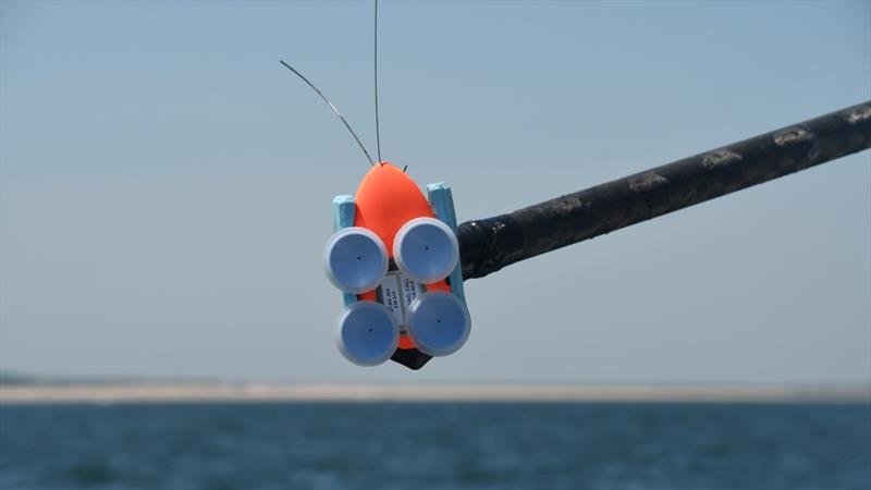 When using a 30-foot pole to tag a whale, the tag is first placed into a cradle at the end of the pole - photo © Laura Howes/NOAA