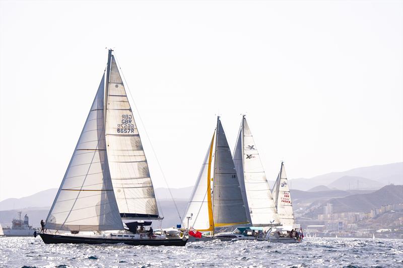 Les Papillons, Gilli, Samba, Aria Legra during the ARC+ 2024 start - photo © James Mitchell / WCC