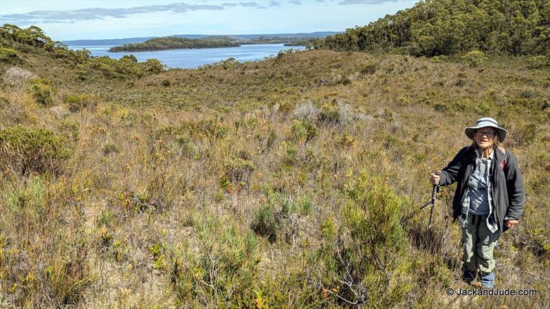 That's Solider Island in the gap – the entrance to Farm Cove is seen to the left of it - photo © jackandjude.com