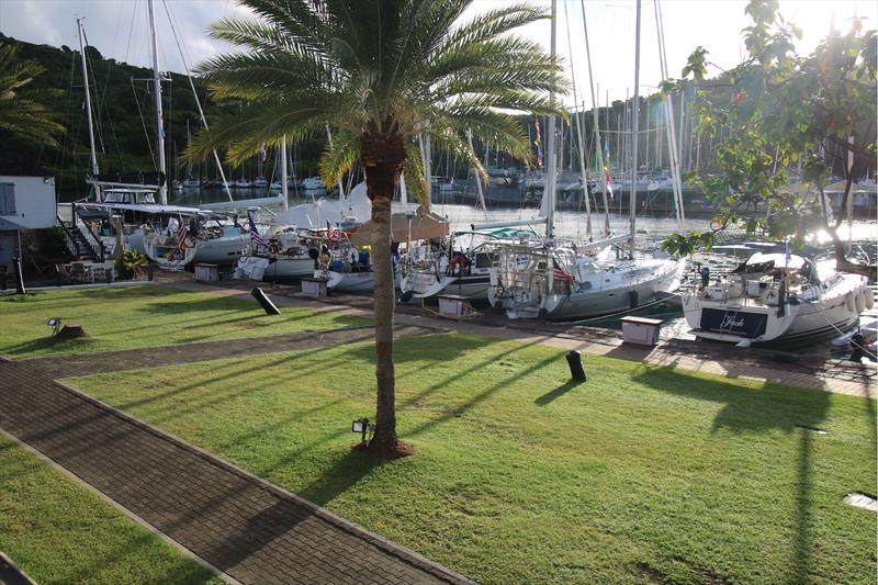 2025 Salty Dawg Caribbean Rally Webinar photo copyright Salty Dawg Sailing Association taken at  and featuring the Cruising Yacht class