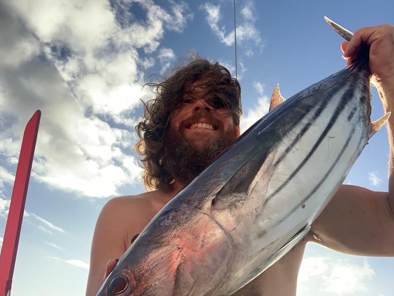 Dan's catch – a Skipjack tuna off the coast of Fiji, time for fresh sashimi - photo © Dan Turner
