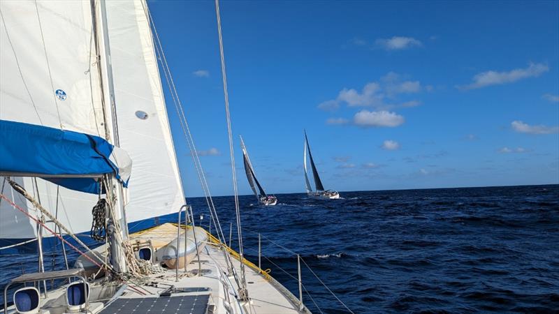 Three Sheets Regatta - An Epic Sailing Adventure