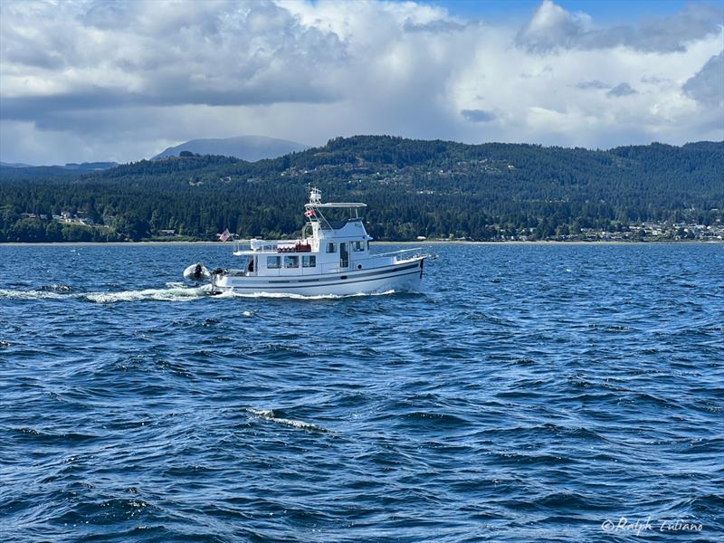 Airship looking good! photo copyright Ralph Lutiano taken at  and featuring the Cruising Yacht class