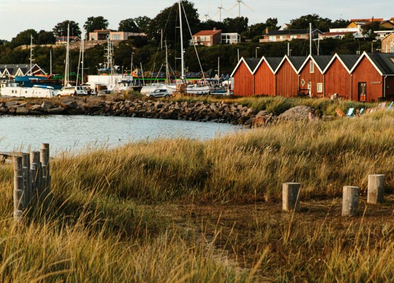 ARC Baltic - photo © World Cruising Club