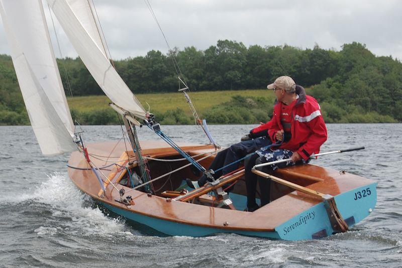 Despite being marginalized by the other hot boats of the day, the Jollyboat still sold in sufficient numbers to be classed as a success photo copyright Dougal Henshall taken at  and featuring the Classic & Vintage Dinghy class