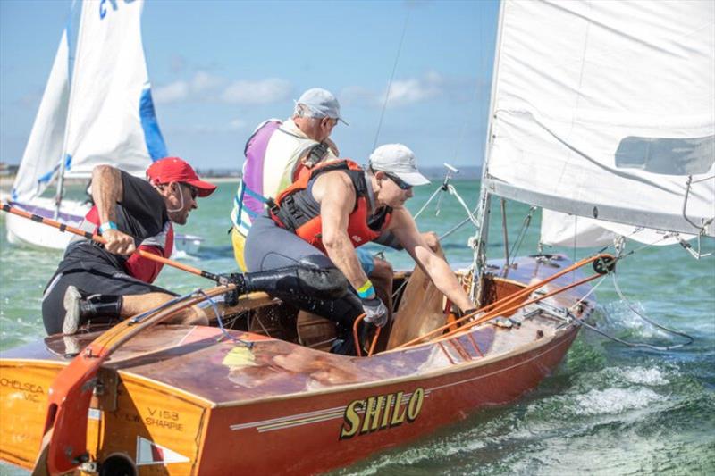Chelsea Yacht Club Classic Dinghy gathering photo copyright Southern Woodenboat Sailing taken at Chelsea Yacht Club, Australia and featuring the Classic & Vintage Dinghy class