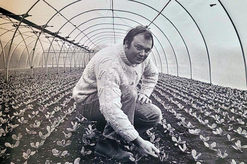 Graham Edwards in his polytunnels caring for his lettuces - photo © Edwards Family Archive
