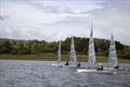 Harken D-Zero Inlands at Ogston © Emily Osbourne