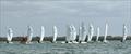 Race start during the Dart 15 TT at Marconi © Howard Rogers