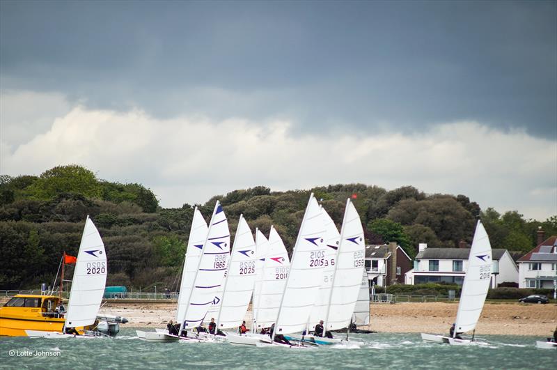 Sprint 15 Start during the Stokes Bay Cat Open - photo © Lotte Johnson / www.lottejohnson.com