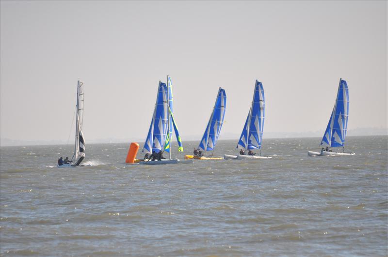 Dart 16 nationals at Thames Estuary Yacht Club photo copyright Dave McNally taken at Thames Estuary Yacht Club and featuring the Dart 16 class