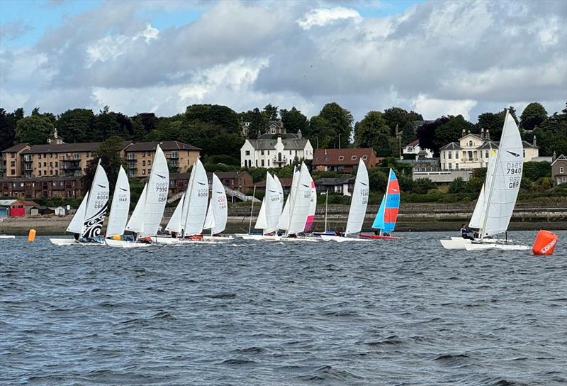Dart 18 TT and Scottish Championship at Royal Tay - photo © Mehmet Gundogu