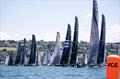 © Rachel Fallon-langdon / Team Phaedo