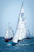 Devon Yawl Nationals 2023 © Paul Gibbins Photography