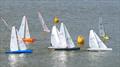 DF95 Spring Series at East Kent RSC - Windward mark during Event 6