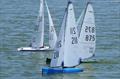 DF95 Summer Series event 1 at Barton's Point © Peter Jackson