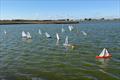 20 seconds to the start - DF95 Autumn Series at Barton's Point week 2 &copy; Michael Speakman