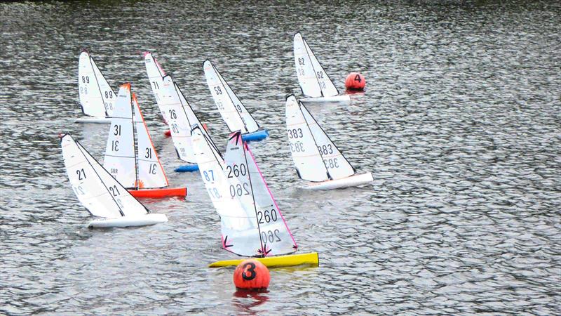 2022 MYA Scottish District DF95 Championship at Greenock photo copyright David Addison taken at Greenock Model Yacht and Power Boat Club and featuring the DF95 class