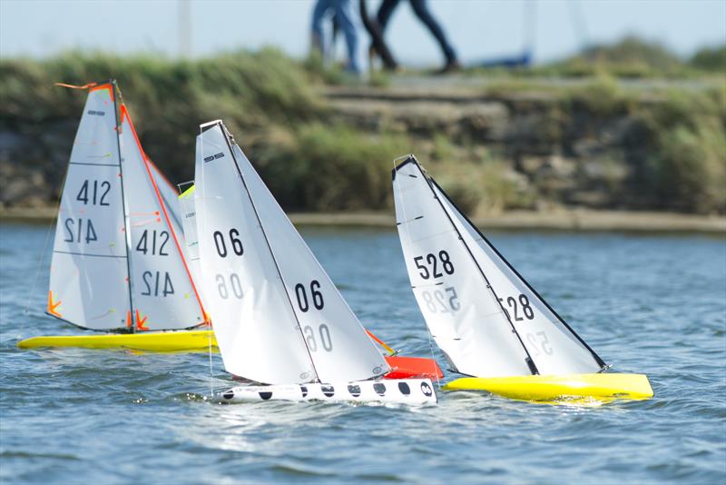 Emsworth Sailing Club Radio Sailing Regatta 2025 photo copyright Don Manson taken at Emsworth Sailing Club and featuring the DF95 class