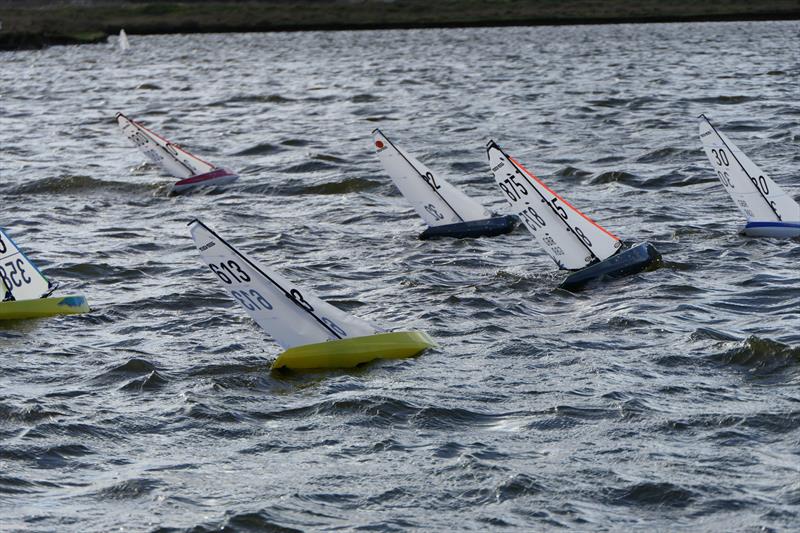 DF95 Summer Series event 6 at Barton's Point photo copyright Alan Hounsell taken at East Kent Radio Sailing Club and featuring the DF95 class