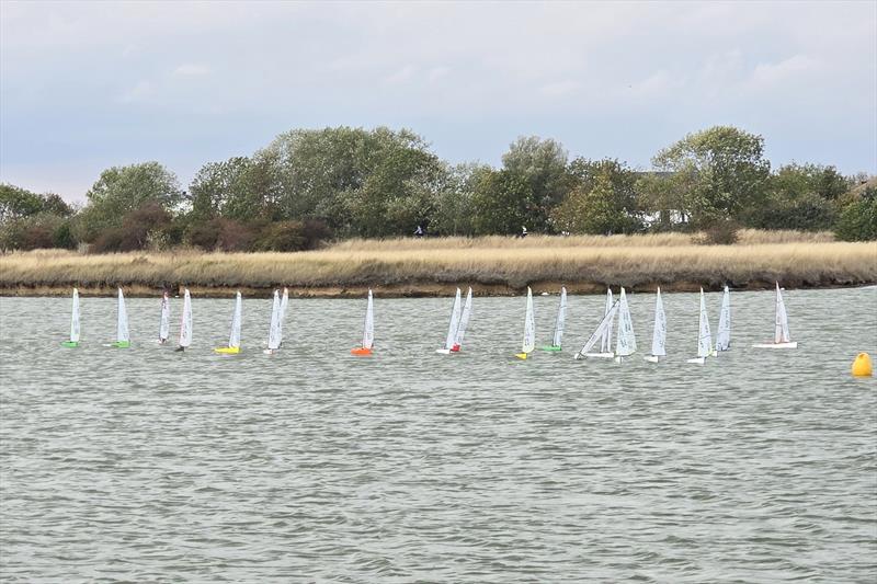 DF95 National Championship at Barton's Point, Sheppey - photo © Jim La Roche