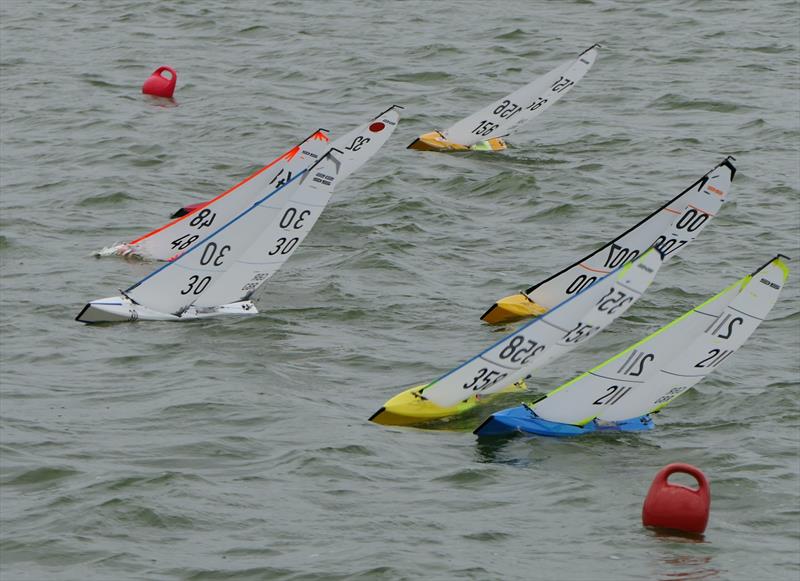 DF95 Autumn Series at Barton's Point week 8 photo copyright Alan Hounsell taken at East Kent Radio Sailing Club and featuring the DF95 class