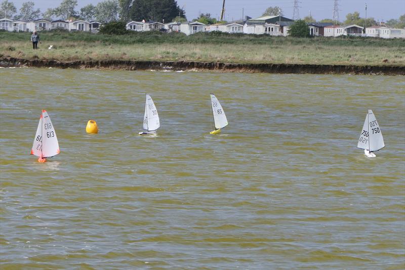 Leeward Gate - B Rigs - DF95 Spring Series at Barton's Point week 4 - photo © Alan Hounsell