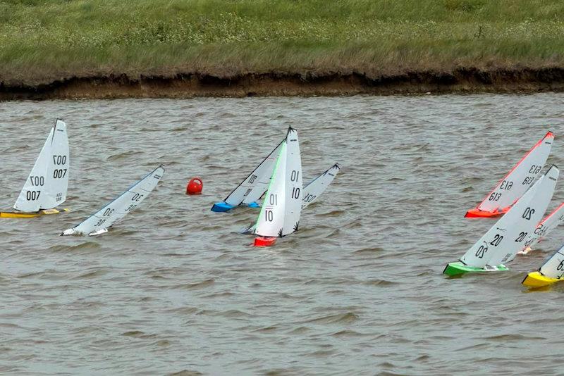 DF95 Spring Series at Barton's Point week 7 - photo © Mike Brand