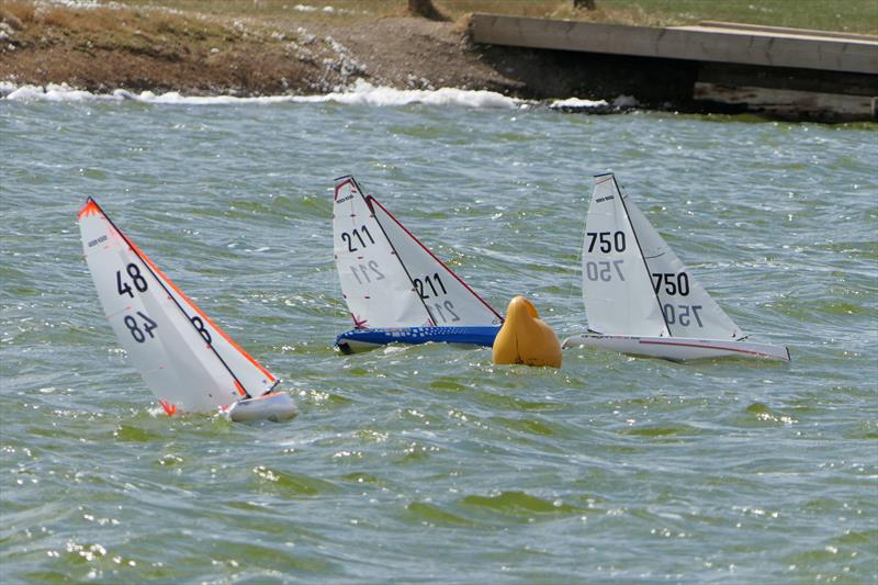 B Rig Gate 2 - DF95 Summer Series at Barton's Point Week 1 - photo © Alan Hounsell
